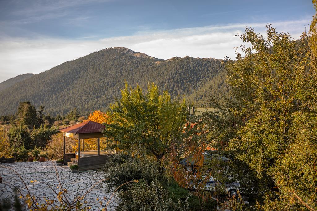 Boutique Hotel Skamnos อาราโชวา ภายนอก รูปภาพ